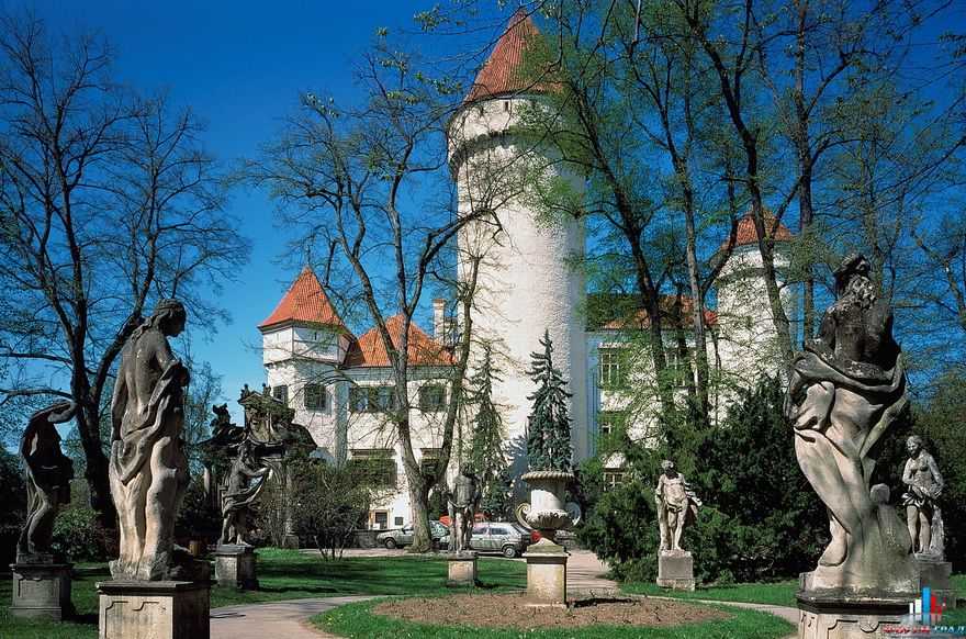 Замок конопиште (чехия). история замка. описание