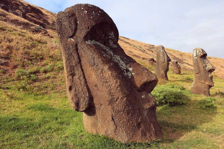 Раскрыта загадка истуканов острова пасхи: учёные узнали, как были построены таинственные статуи моаи