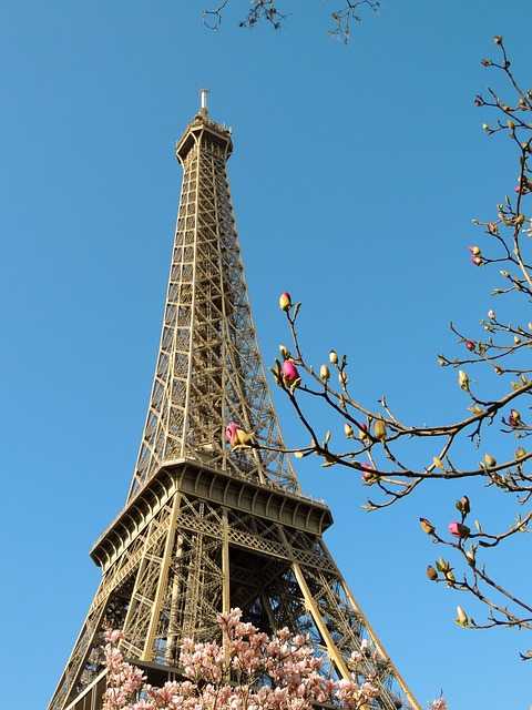 20 любопытных фактов об эйфелевой башне - одной из главных достопримечательностей парижа
