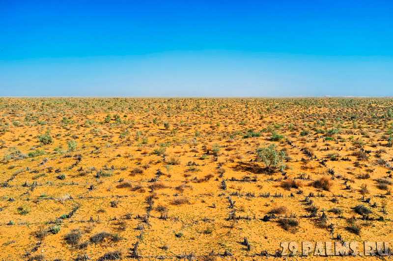 Какие самые большие и маленькие пустыни в мире: карта песчаной виктории (сезон 2021)