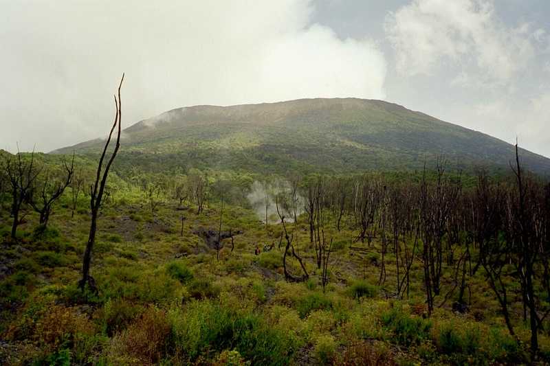 Вирунга (национальный парк)