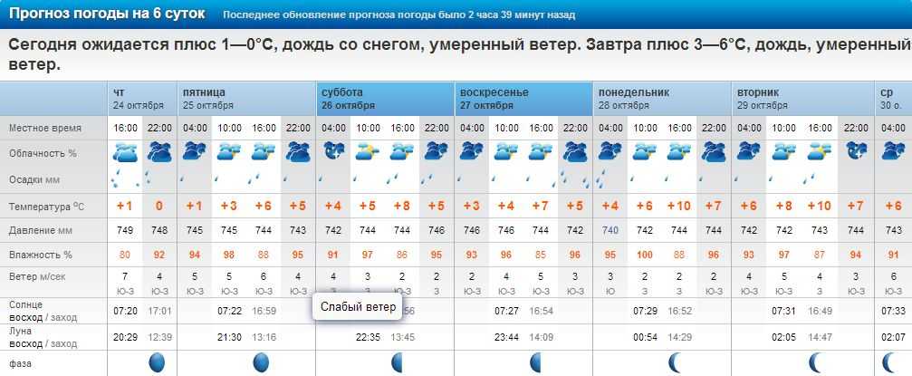 Погода рп 5 николаевск. Погода в Нылге на завтра. Погода в Нылге Удмуртия на неделю. Погода в Нылге на 10 дней рп5.