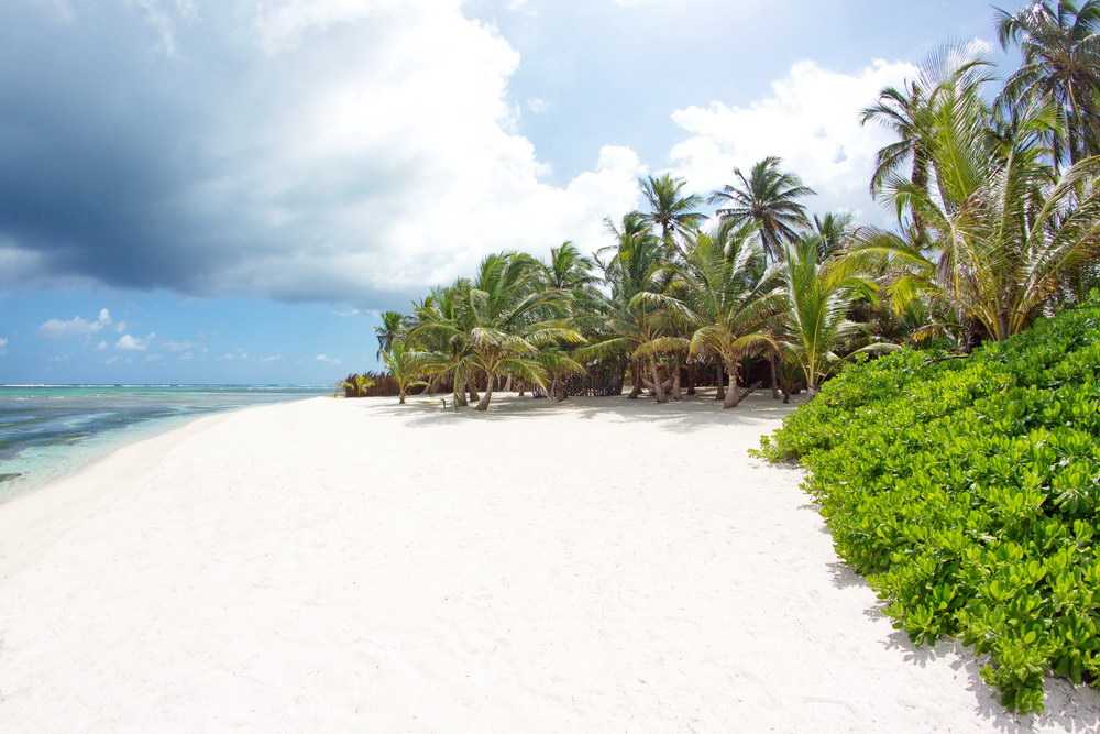 Фото и описание пляжей острова самана в доминикане