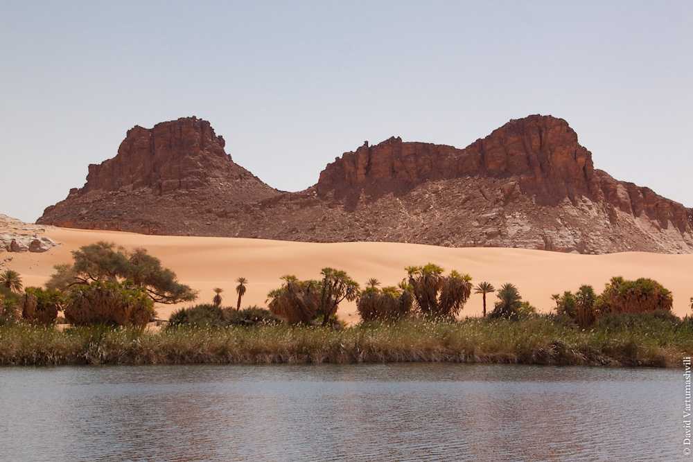 Абеше — город в Чаде, расположен в 270 км восточнее столицы, на единственном крупном шоссе, соединяющем Нджамену и Сеннар (Судан)...