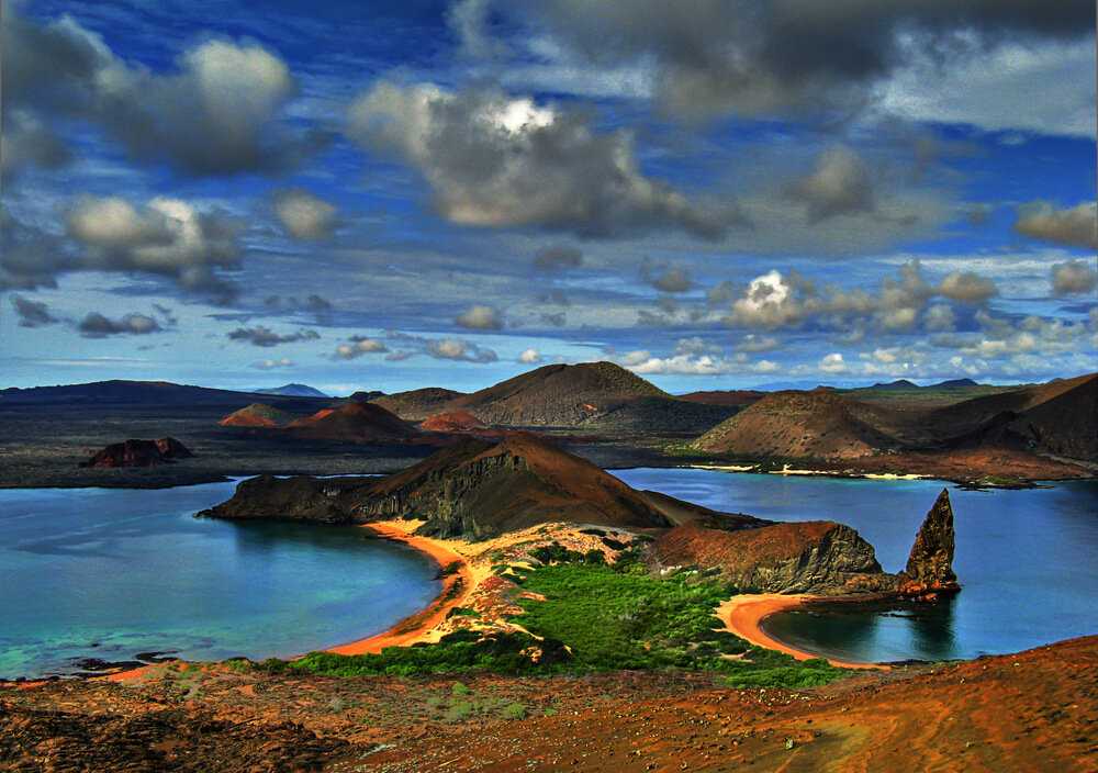 Галапагосские острова в эквадоре: описание, история, флора и фауна (фото)