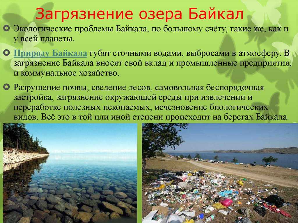 Насколько грязно. Загрязнение озера Байкал. Экологические проблемы байка. Экологические проблемы Байкала. Эклогическиепроблемы Байкала.