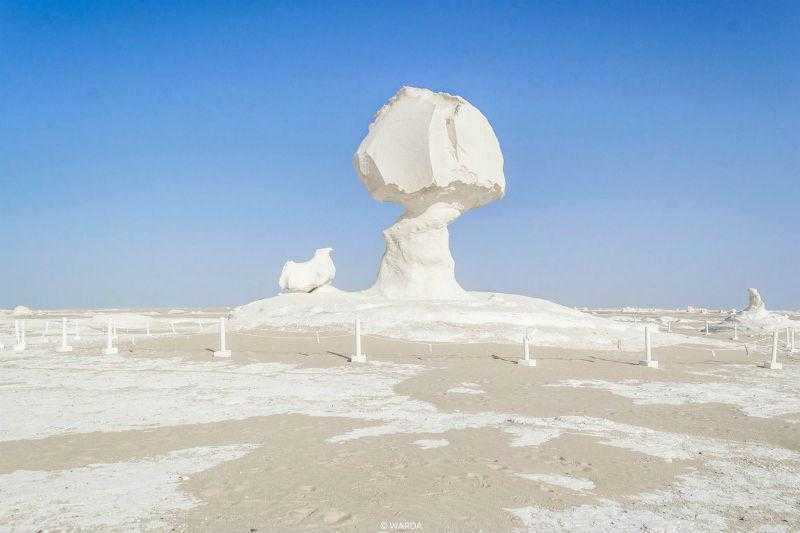 Топ-15 красивых пустынь: фото живописных песчаных ландшафтов