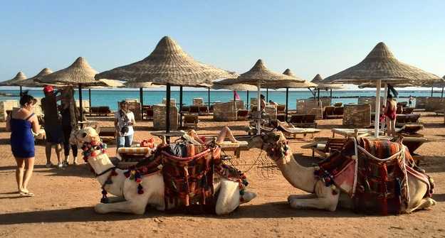 Непопсовый египет: курорты, отели, экскурсии / статьи на profi.travel