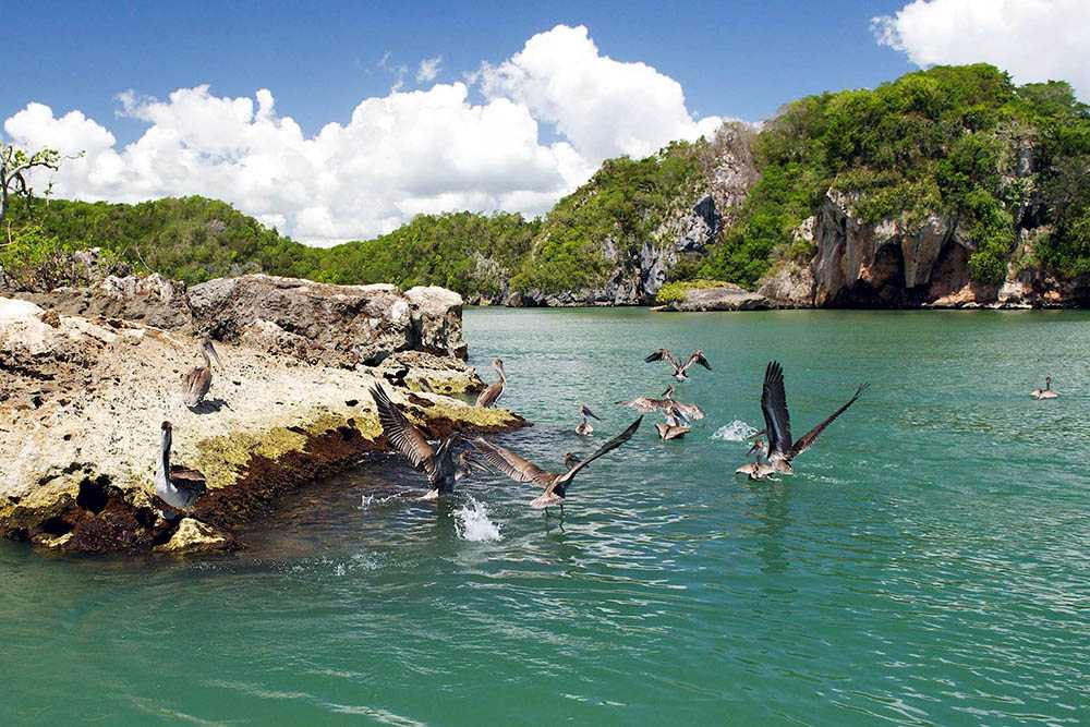 Где в доминикане находится национальный парк лос-айтисес, и чем он знаменит?