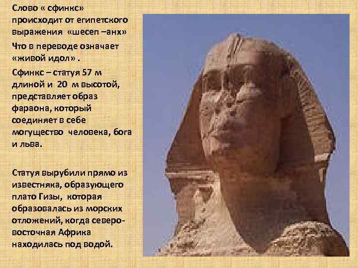 Сфинкс в египте: секреты, загадки и научные факты