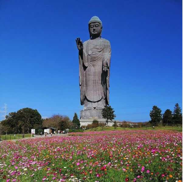 Самые высокие статуи в мире: топ-10 памятников из индии, японии, россии и других стран
