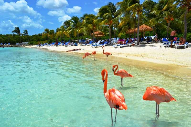 Доминиканская республика ?️ достопримечательности, интересные и красивые места, что посмотреть самостоятельно, экскурсии, развлечения, путеводитель, фото
