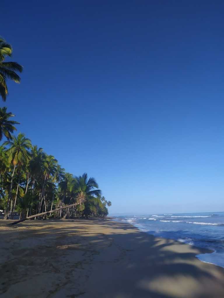 Доминикана: отдых в доминикане, виза, туры, курорты, отели и отзывы