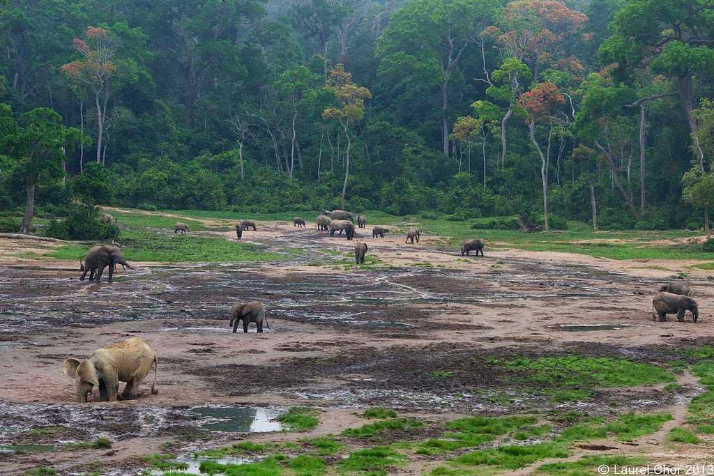 Национальный парк ньянга - nyanga national park - abcdef.wiki