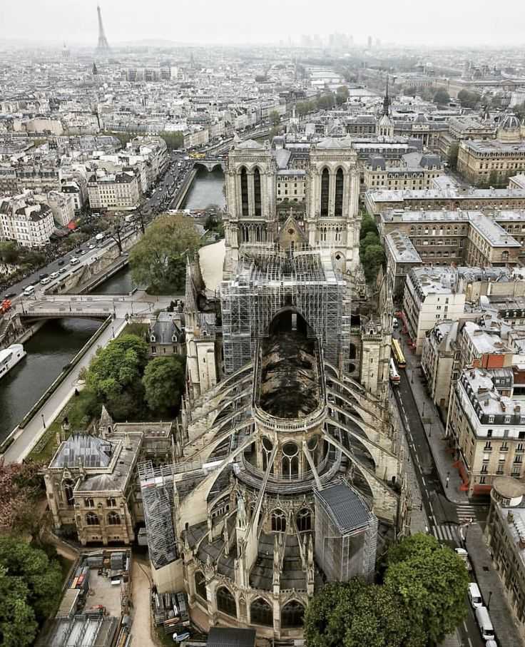 10 малоизвестных фактов о соборе парижской богоматери (нотр-дам де пари) :: инфониак