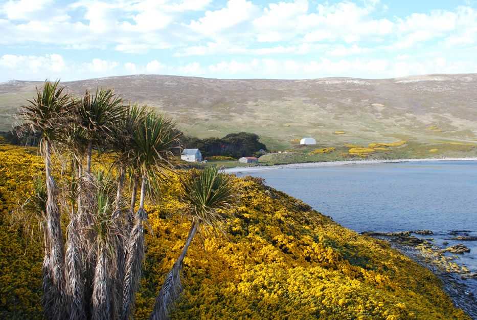 Культура фолклендских островов - culture of the falkland islands