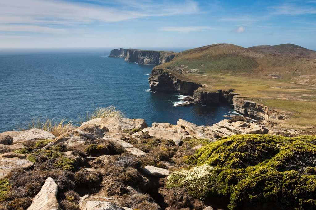 11 лучших туристических достопримечательностей на фолклендских островах