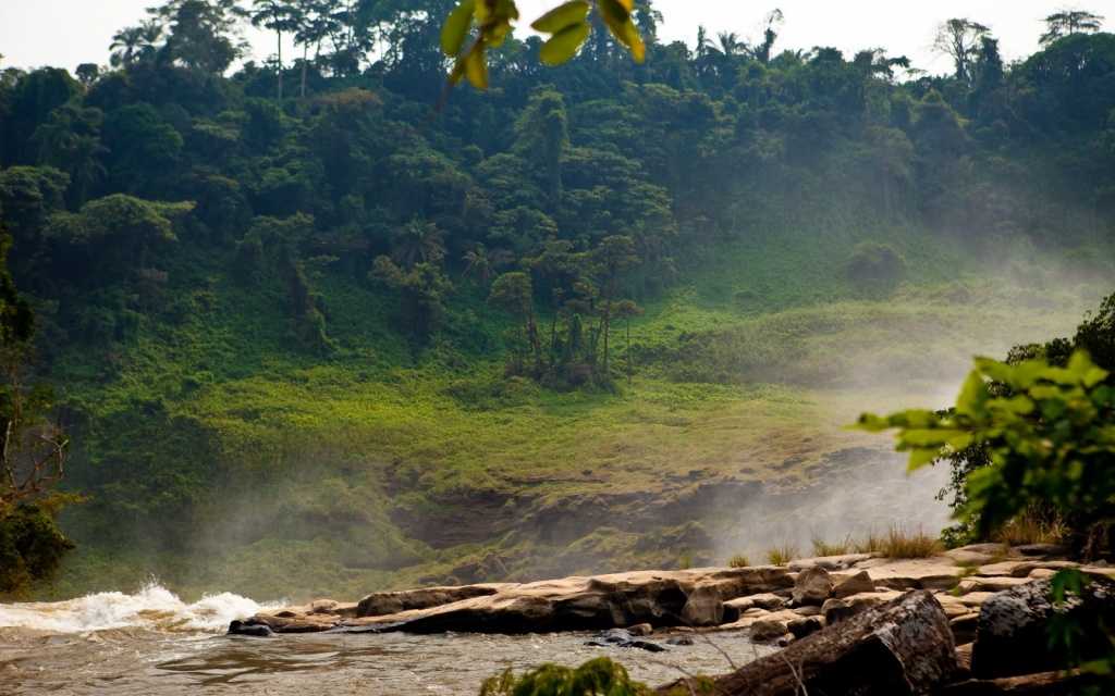 Конго (река)