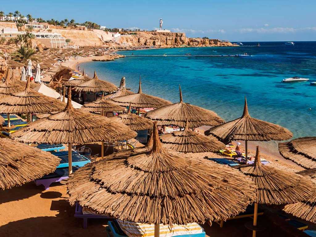 Отдых в шарм-эль-шейхе: пляжи, отели, достопримечательности и подводная жизнь курорта