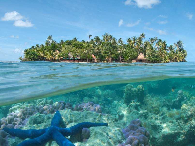Куда съездить на фиджи - уникальные места, достойные книги рекордов