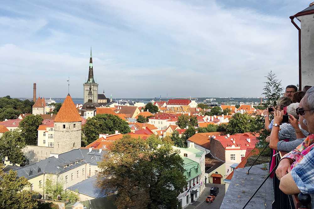 Город таллин эстония: названия районов, а также что является архитектурным наследием прошлого, какие есть музеи и парки в столице этой страны?