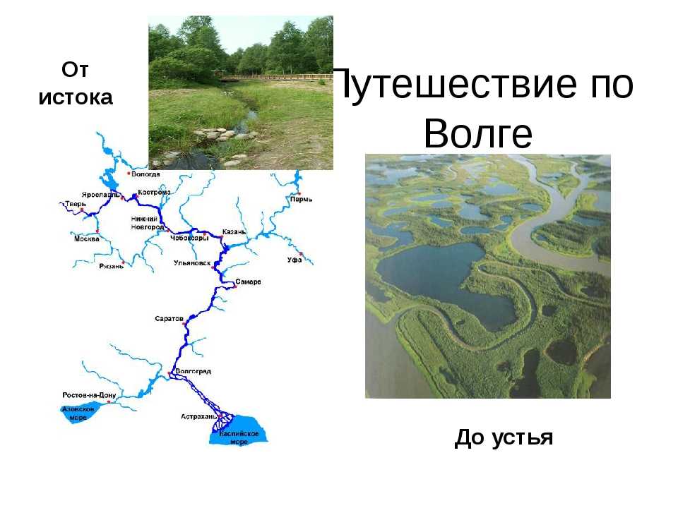 Где находится река волга: в какой стране, материке и части света протекает, расположение на карте россии, города и области, формы рельефов, которые пересекает