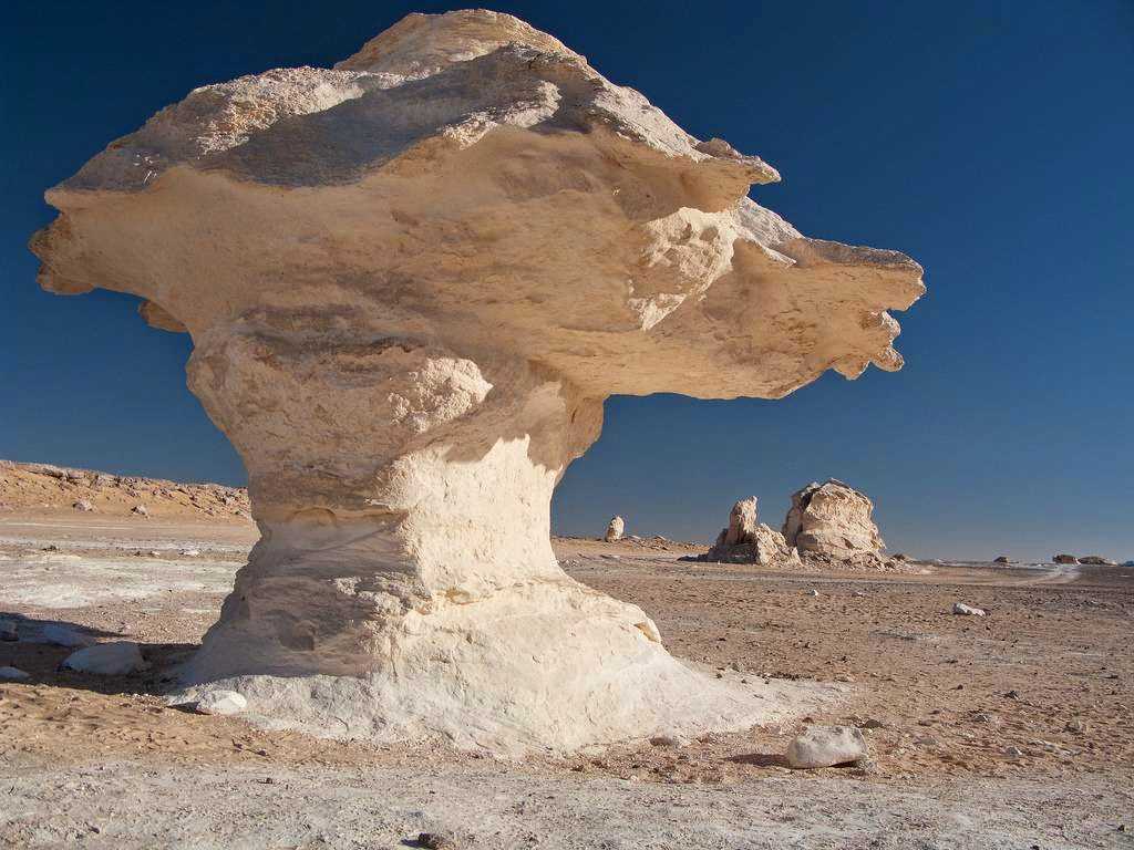 Грибы, горячие источники и другие красоты белой пустыни в египте: описание, советы туристам