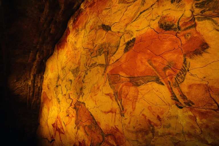 Гротт-де-ля-бальм - пещеры с летучими мышами во франции (лион) - блог о самостоятельных путешествиях