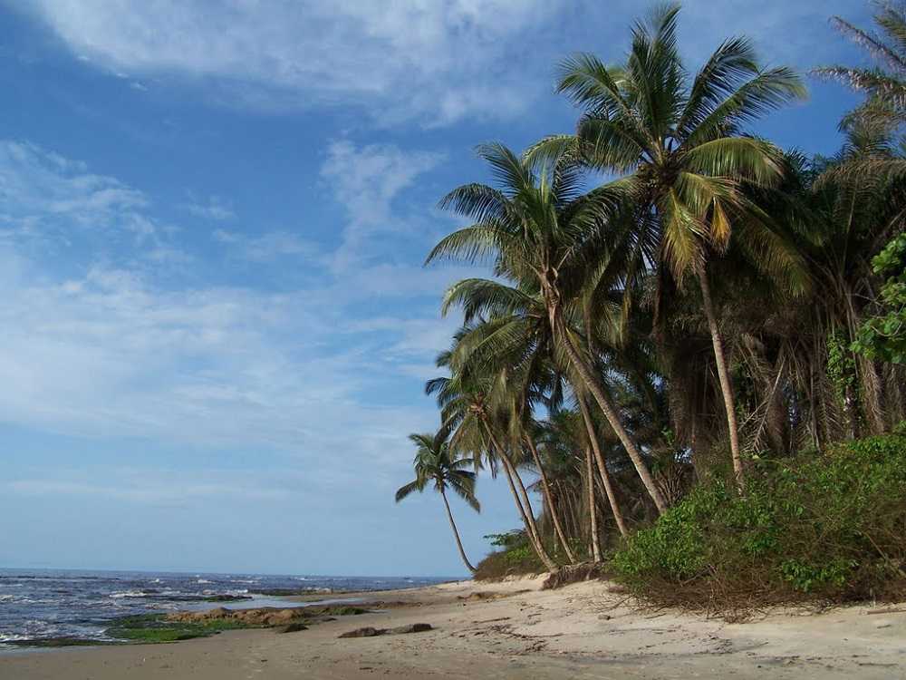 Экваториальная гвинея: полная информация о стране : 7 фактов