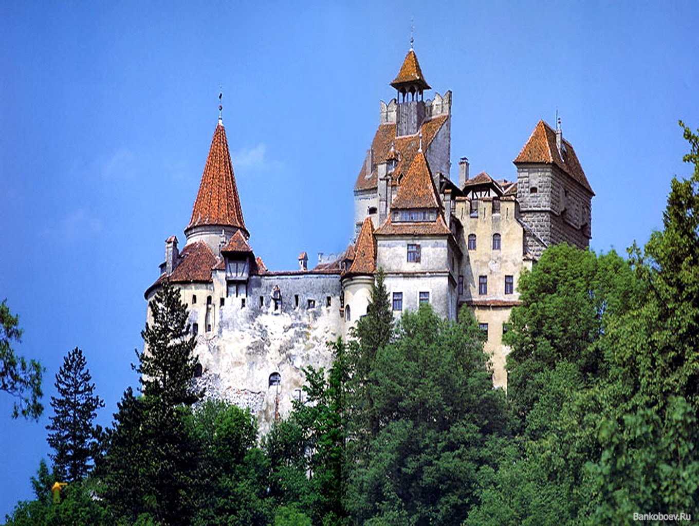 Трансильвания где это находится. Замок графа Дракулы в Румынии. Замок Влада Цепеша в Румынии. Трансильвания Румыния замок Дракулы. Замок Бран (Bran Castle), Румыния.
