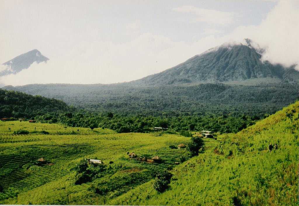 Национальный парк вирунга - вики