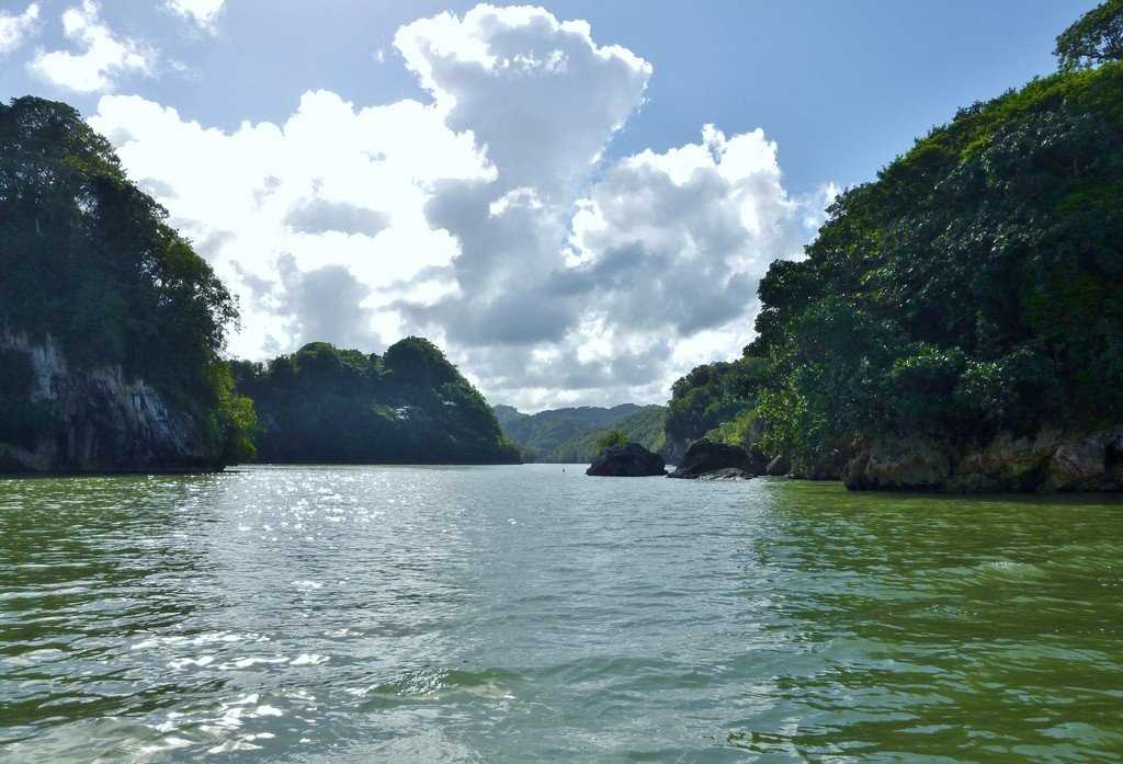 Парк лос-айтисес 🌴 – территория мангровых зарослей и причудливых пещер 🏨