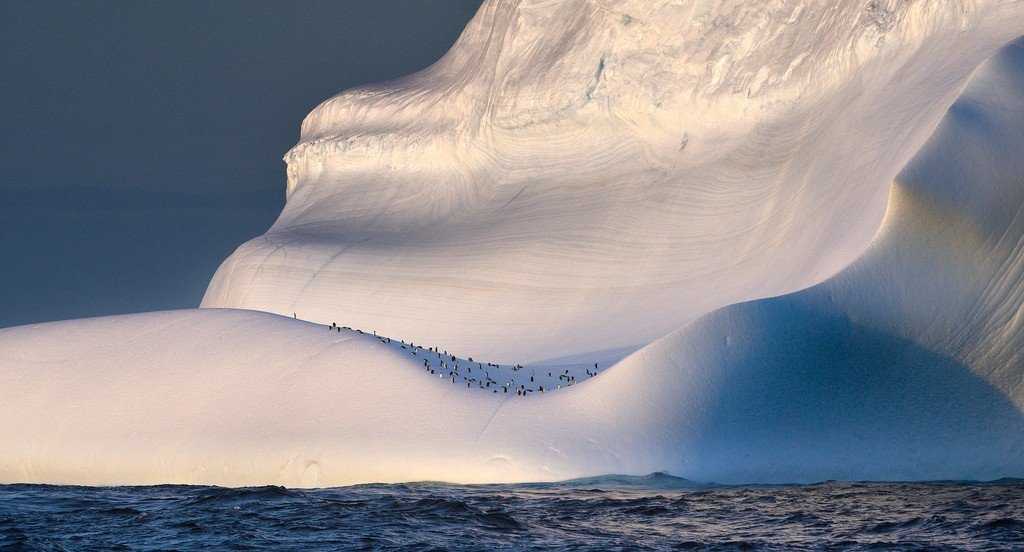 Моря северного ледовитого океана — список, характеристика и карта