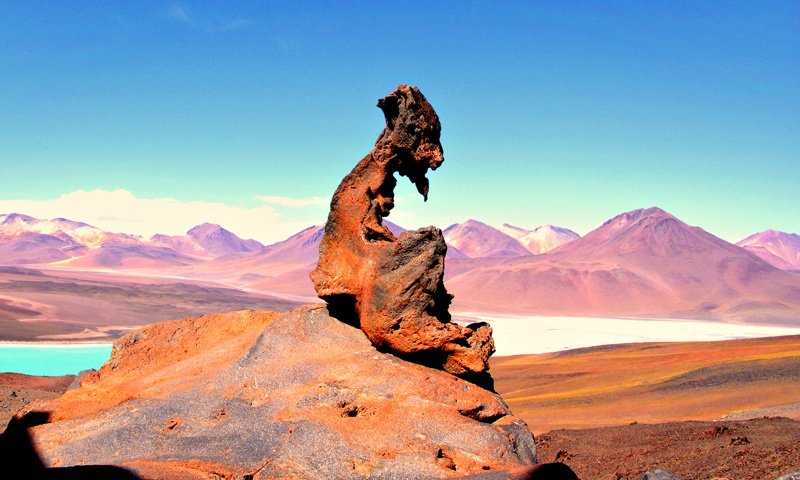 Загадочный гигант из пустыни атакама в чили | interesting places