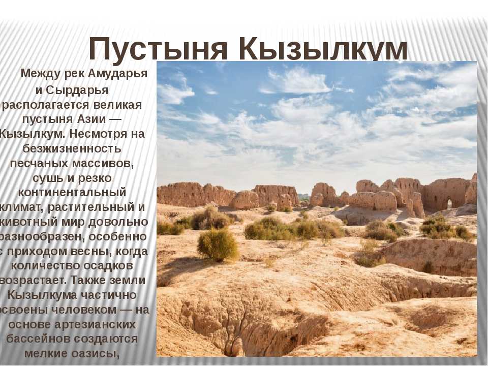 Пустыни и полупустыни россии: расположение, климат, животные и растения