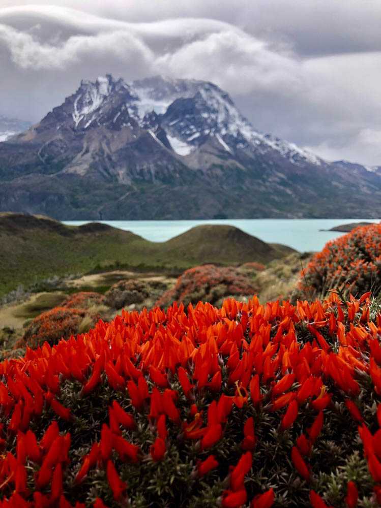 Чилийский архипелаг: осколки чилийской патагонии