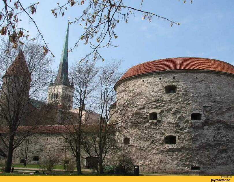 Замки эстонии — средневековые городища