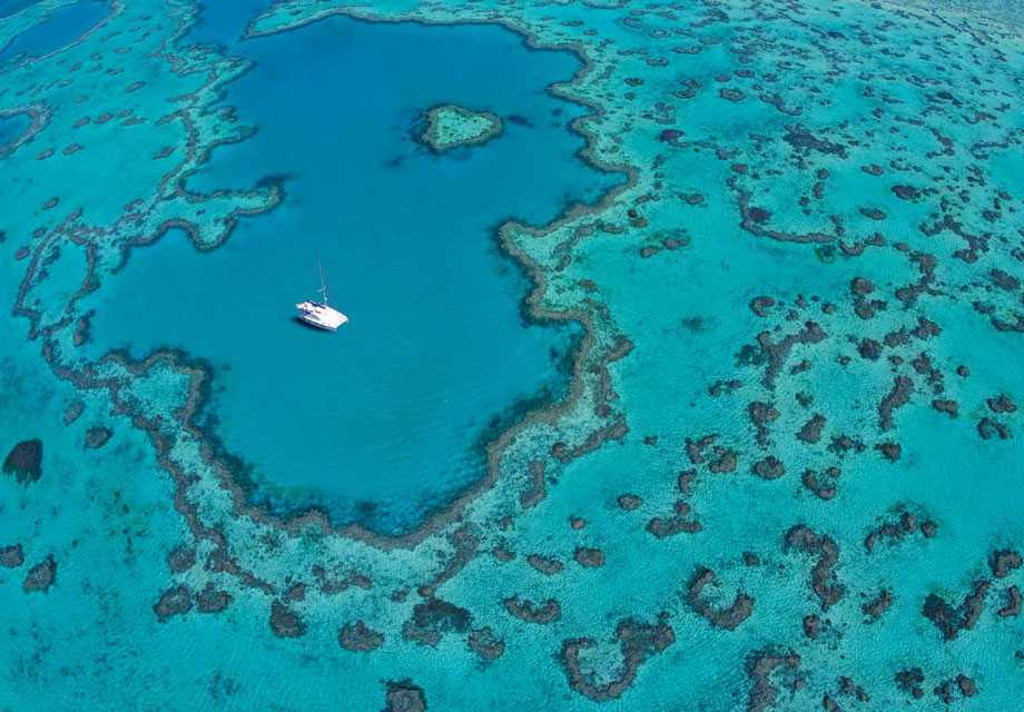 Барьерный риф белиза - belize barrier reef