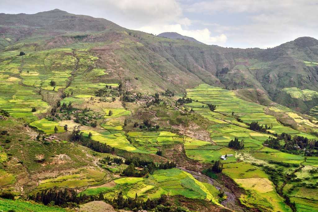 Эфиопия — информация о стране