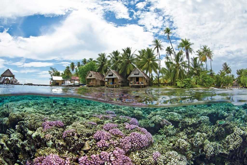 Бора-бора, французская полинезия — города и районы, экскурсии, достопримечательности бора-бора от «тонкостей туризма»