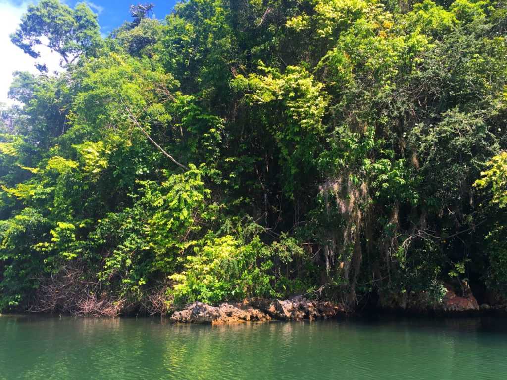 Национальный парк лос-айтисес в доминикане