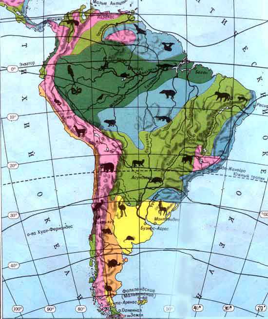 Природы зоны южной америки. Природные зоны Южной Америки. Карта природных зон Южной Америки. Природные зоны материка Южная Америка. Природные зоны Южной Америки Бразилия.