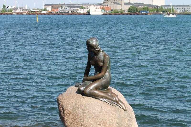 Русалочка в копенгагене — фото скульптуры, история, отзывы, где находится статуя, отели рядом | туристер.ру