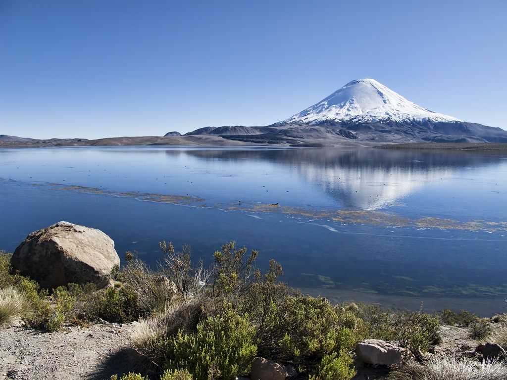 Озеро чунгара (lago chungara) описание и фото - чили: арика