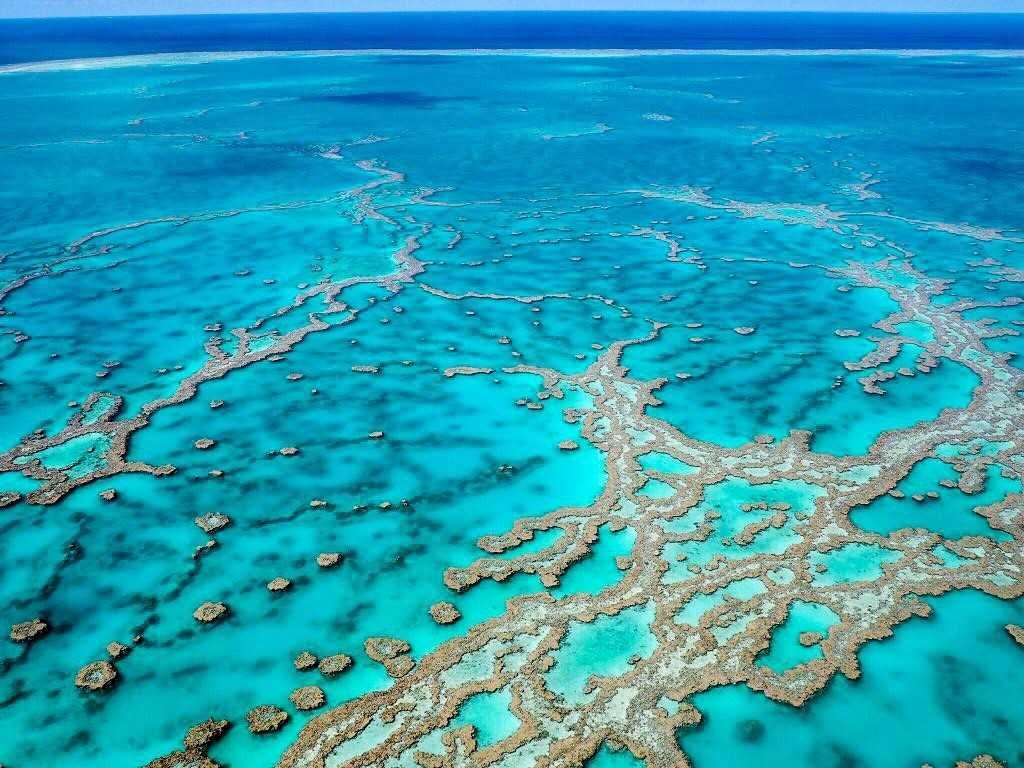 Большой барьерный риф | австралия - как добраться, транспорт, погода, пляжи, достопримечательности, инфраструктура, 3000 коралловых рифов и 900 островов