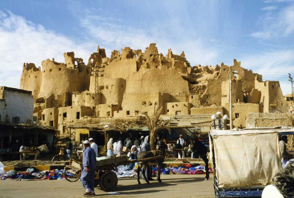 Оазис сива в египте – описание и фото