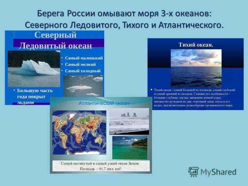Моря атлантического океана - описание, положение и особенности водоемов