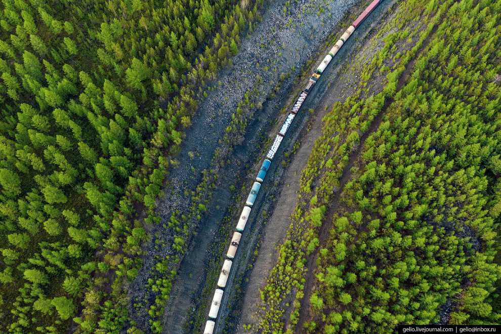 Самая длинная в мире железная дорога где находится? :: businessman.ru