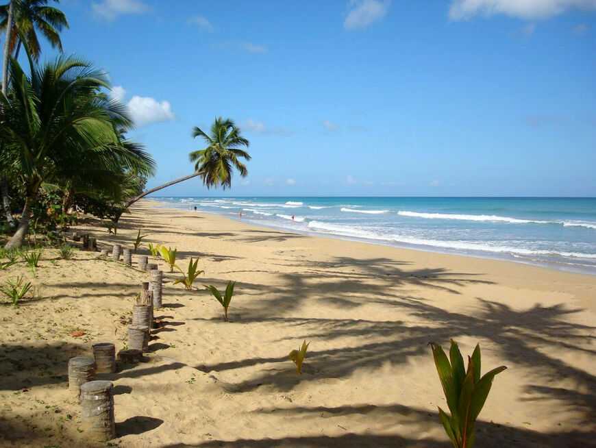 «пятый раз в доминикане» playabachata resort 5*, пуэрто-плата, доминикана. отзыв туриста