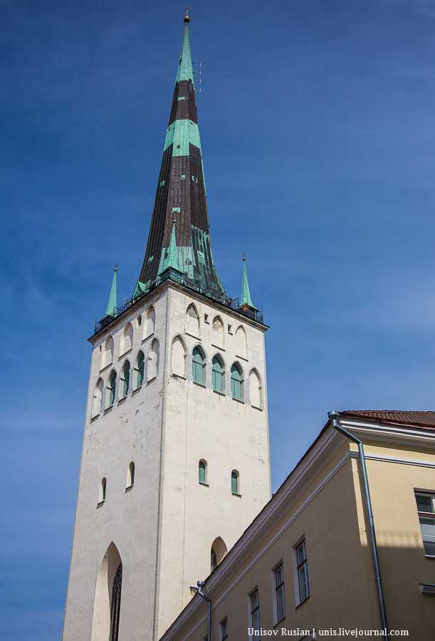 Церковь и башня святого олафа в таллине